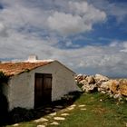 la cabane aux mille souris