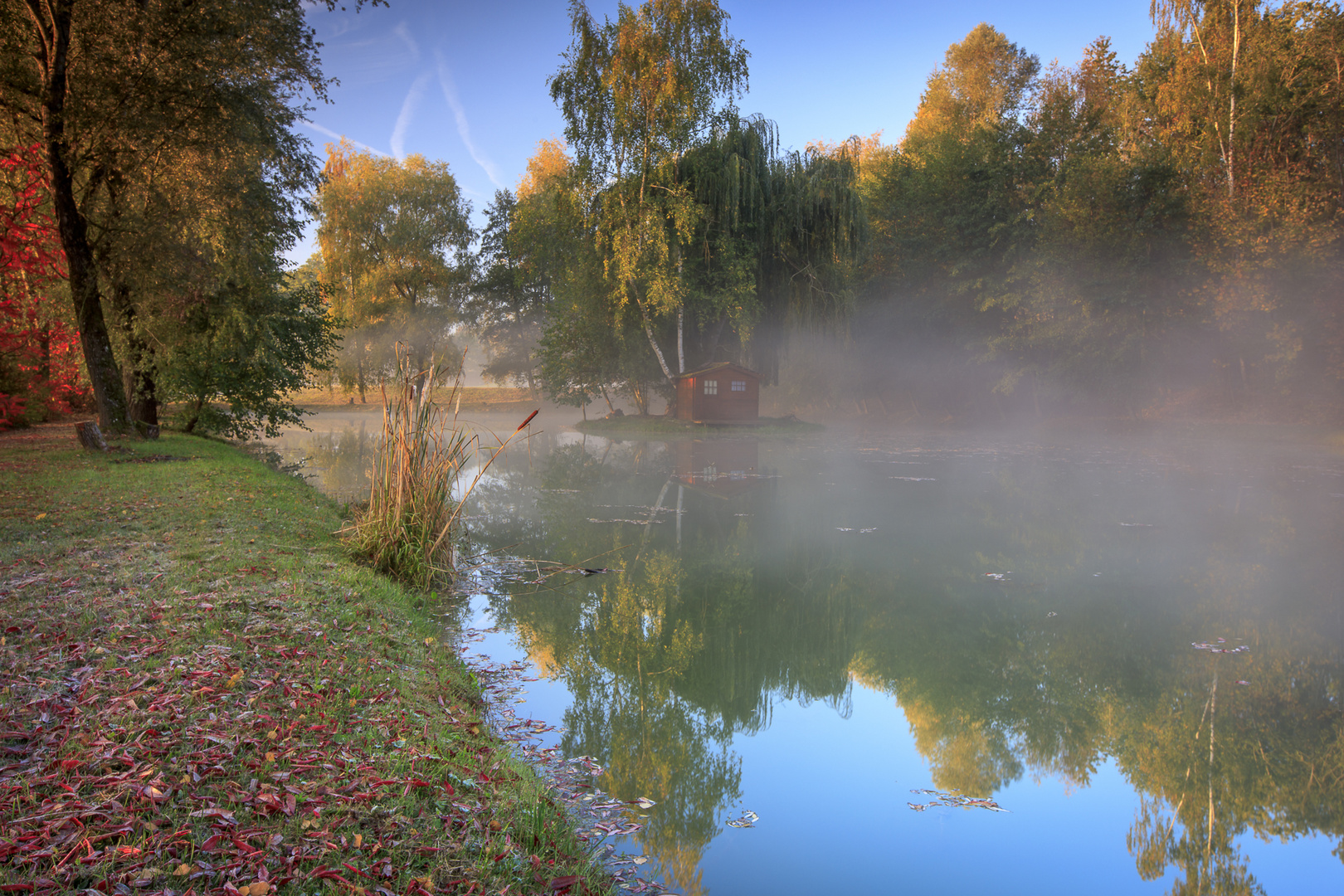 La cabane dans la brume,