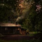 La cabane dans la forêt