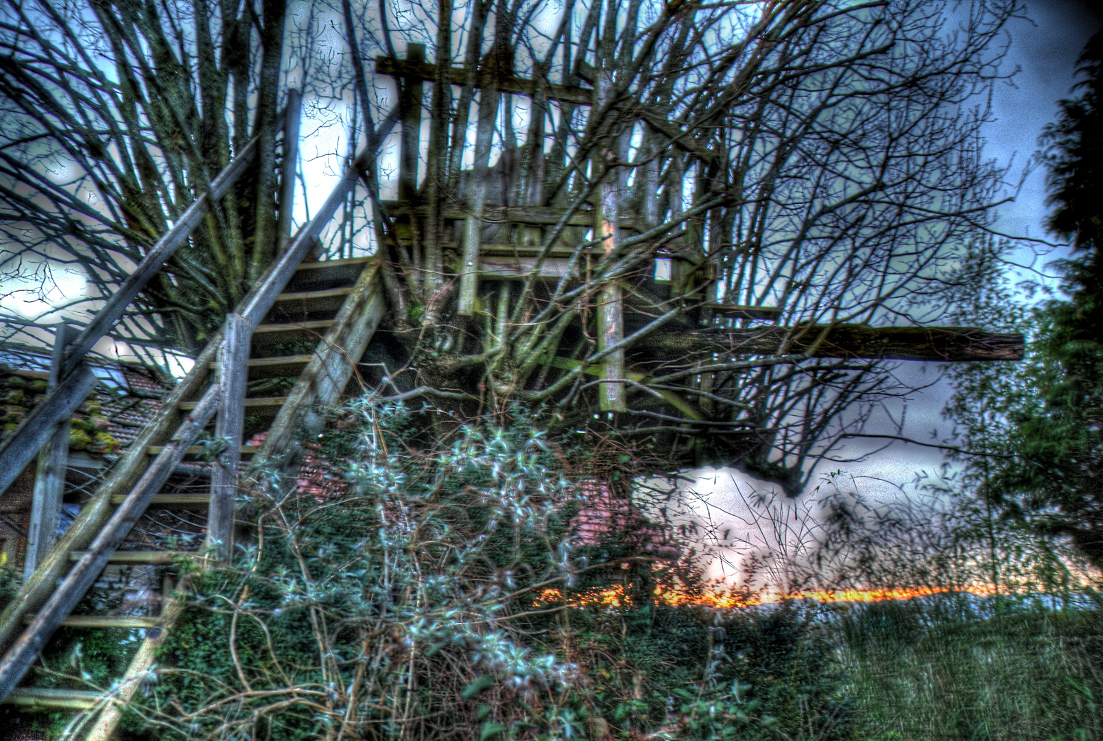 la cabane dans l'arbre