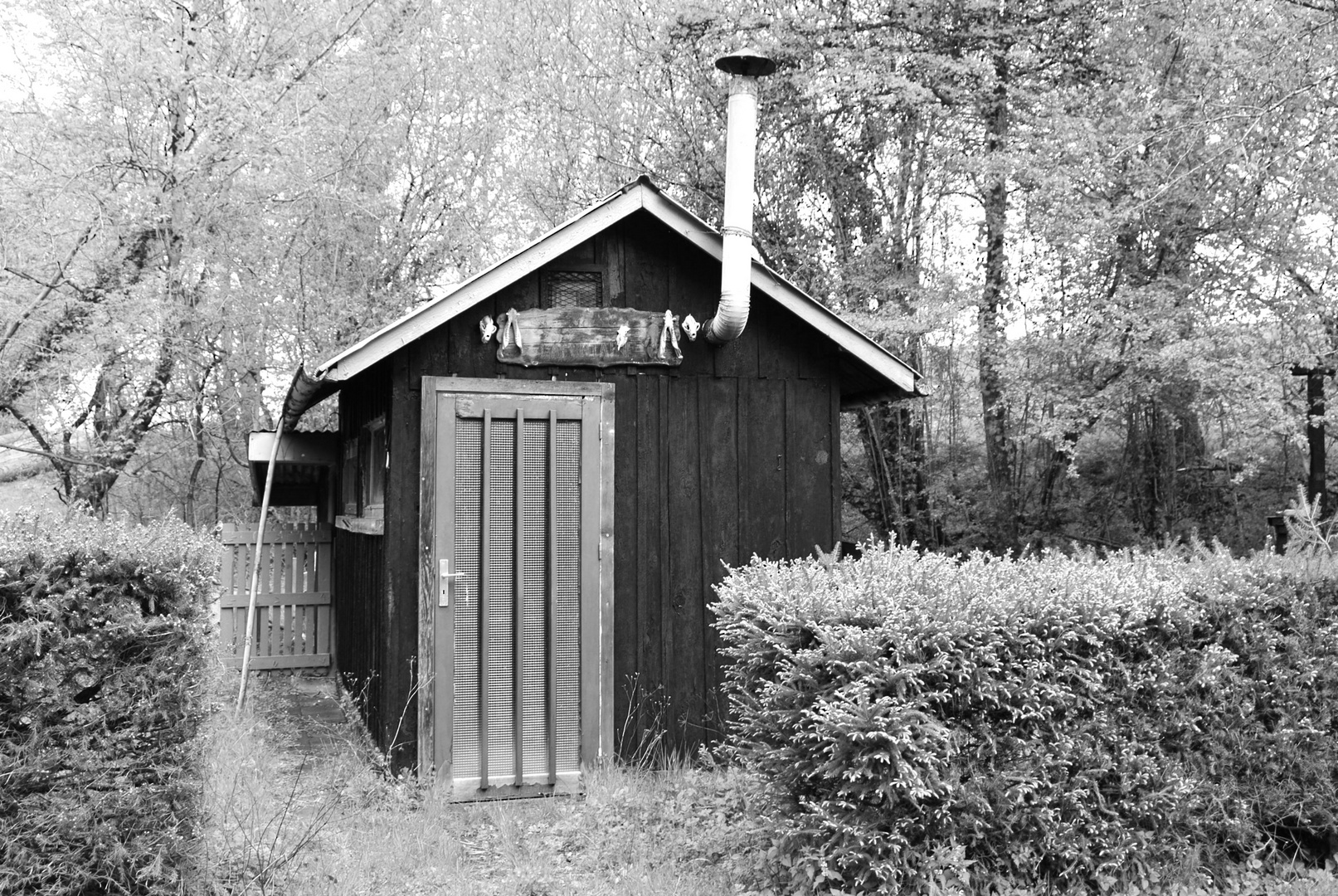 La cabane dans les bois