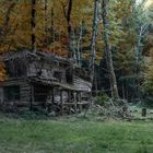 La cabane dans les bois