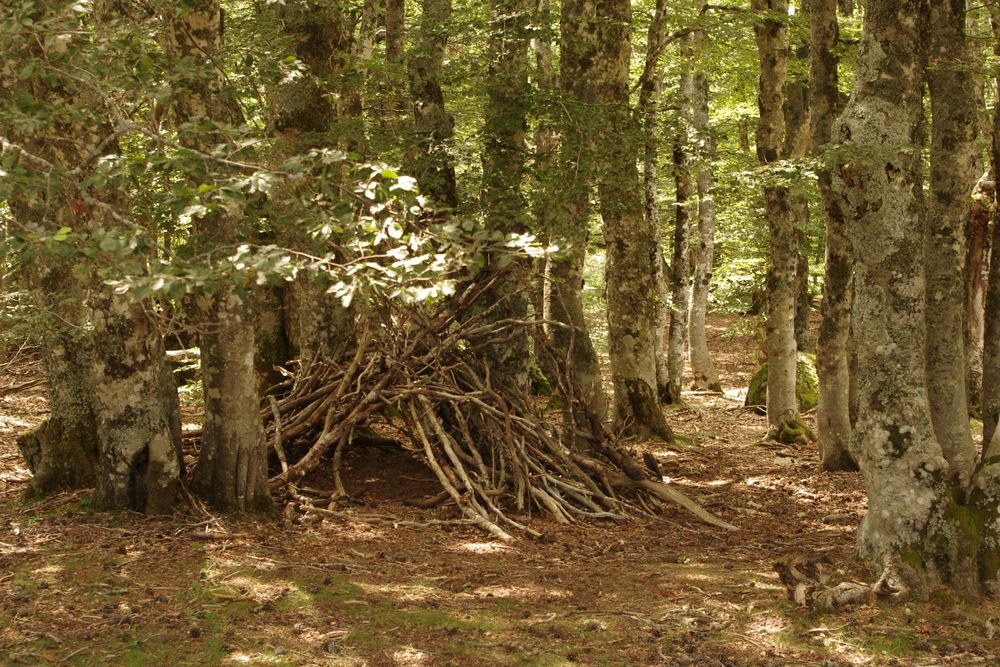 la cabane des lutins ...