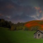 La cabane du berger