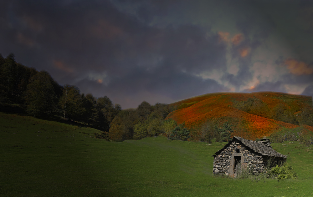 La cabane du berger