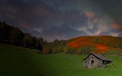 La cabane du berger