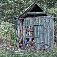 La cabane du cinéma