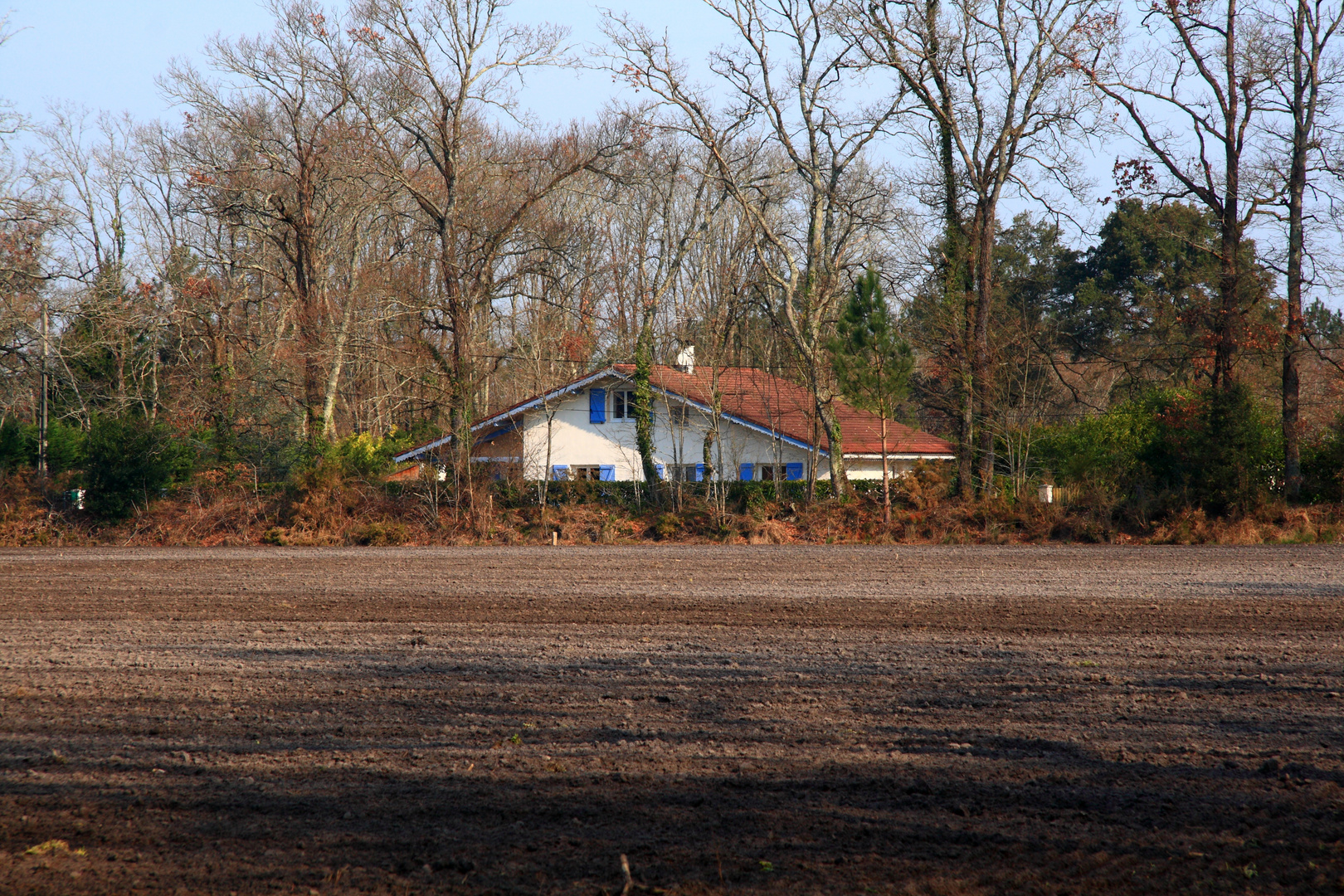 La cabane du fond du jardin