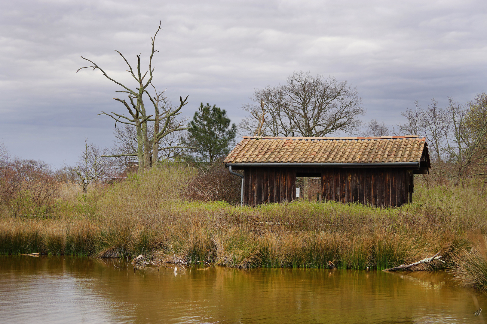 La cabane du marais