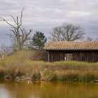 La cabane du marais