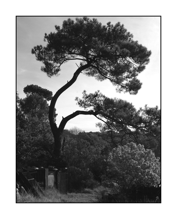 La cabane du pêcheur