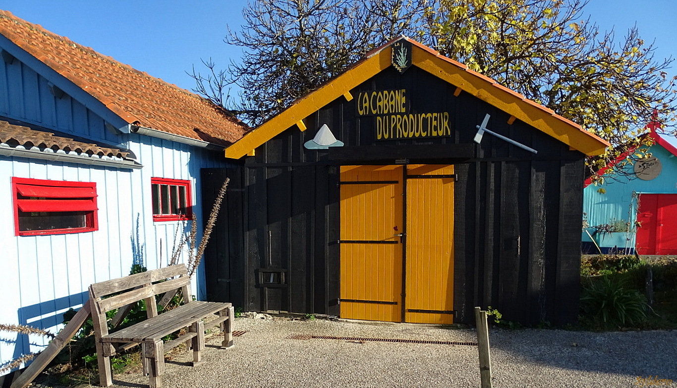 La cabane du producteur de SEL