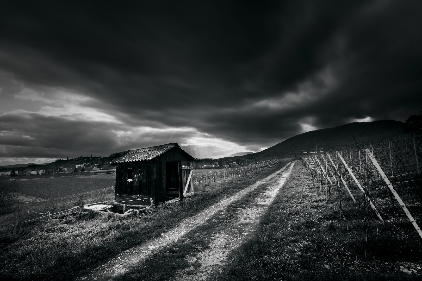 La cabane du vigneron