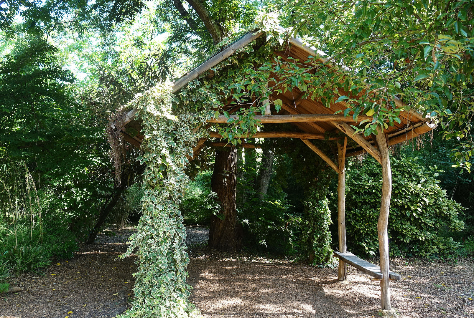 La cabane en bambou.....