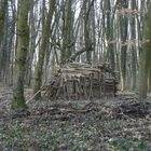 la cabane forestière