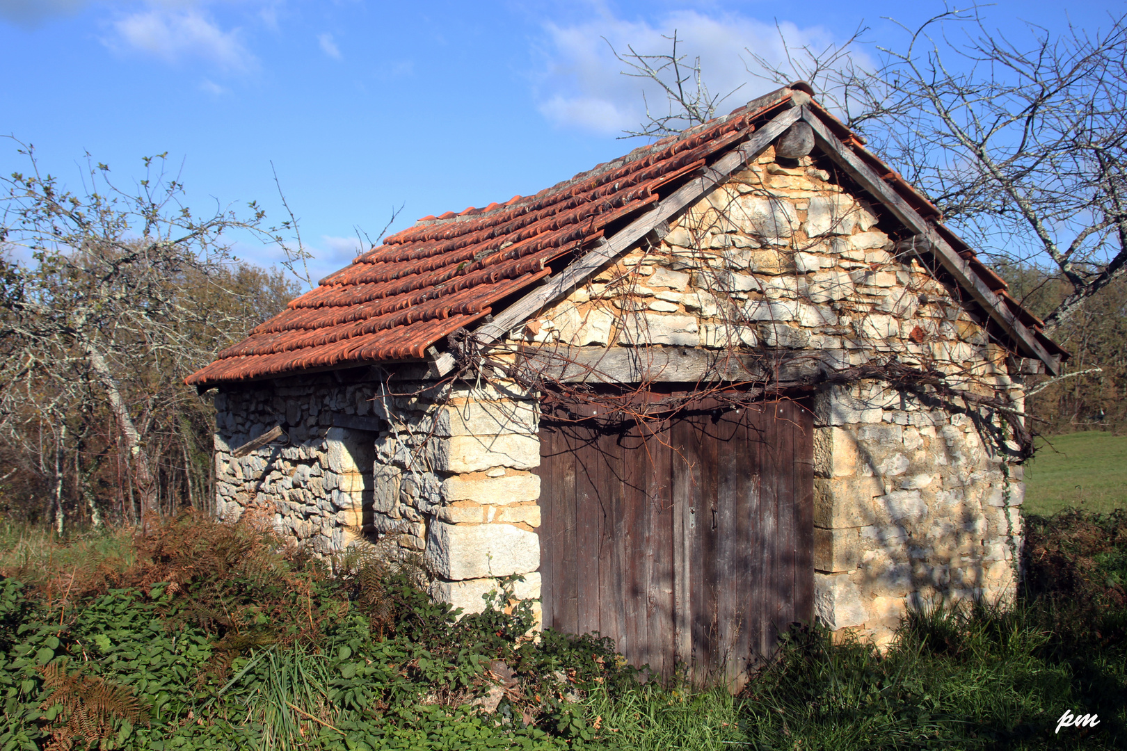 la cabanne au fond du jardin !