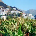 La Calera 1988 - Valle Gran Rey, La Gomera