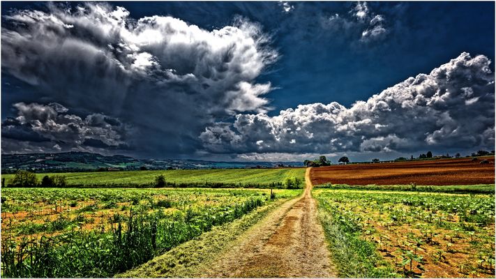„ la calma prima della tempesta “