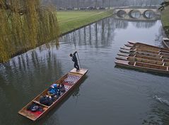 La Cam et ses « punts » près du pont de Trinity College  