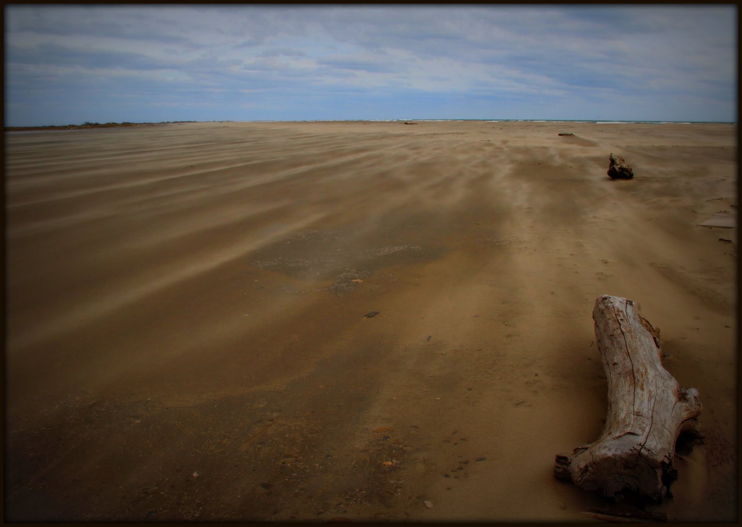 La Camargue 4