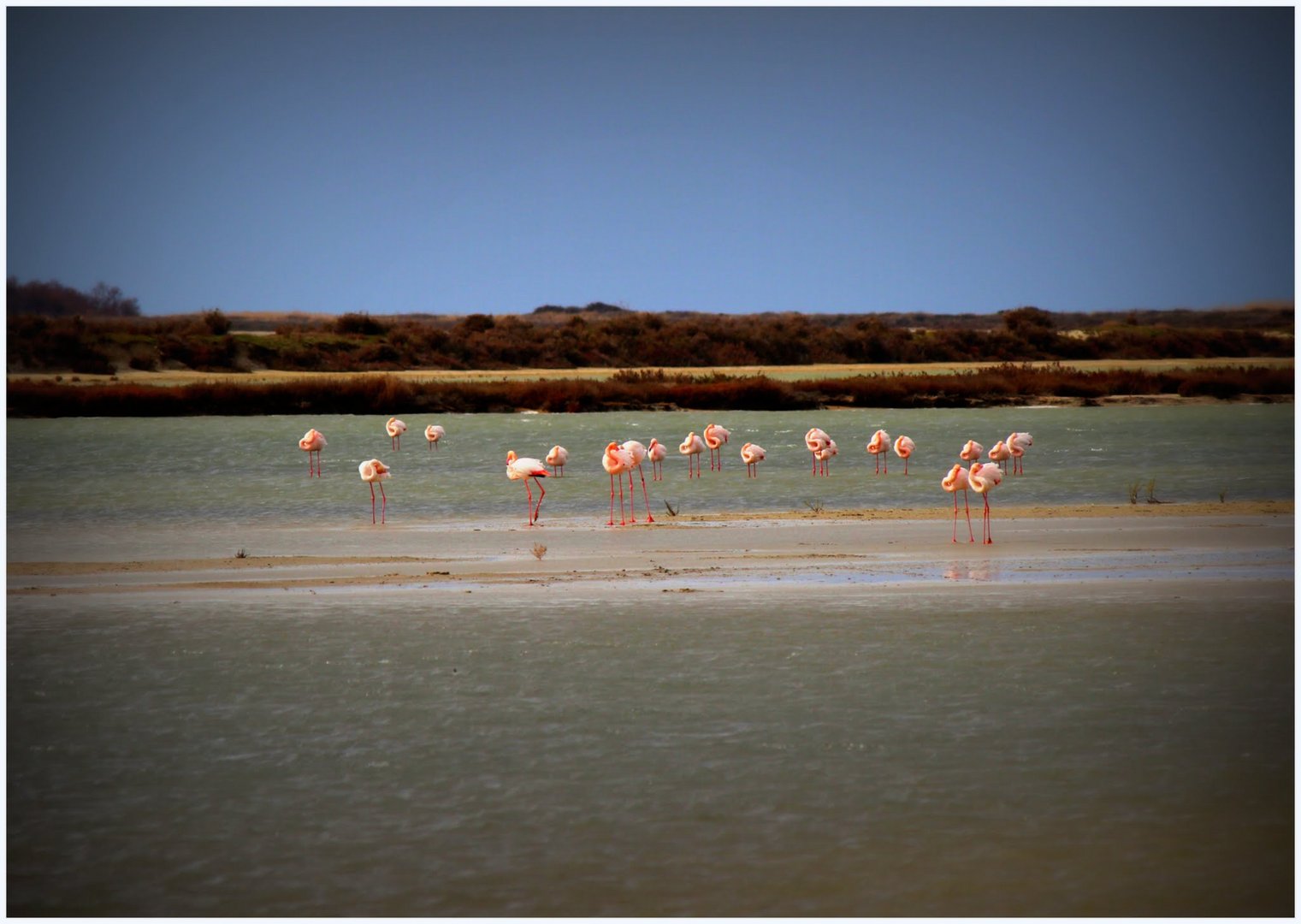 La Camargue