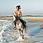 La Camargue - France