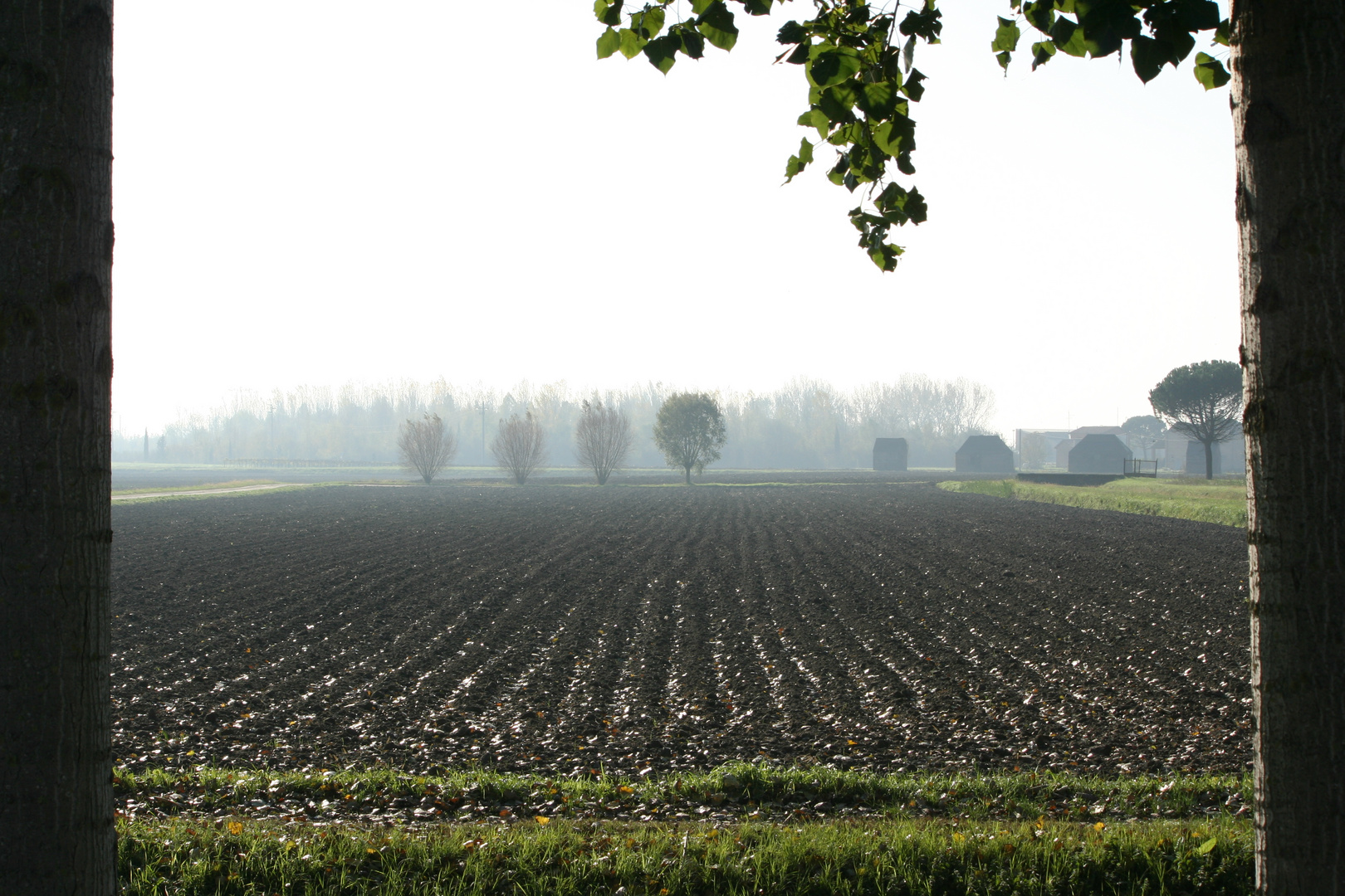 La campagna di Pomposa (FE)