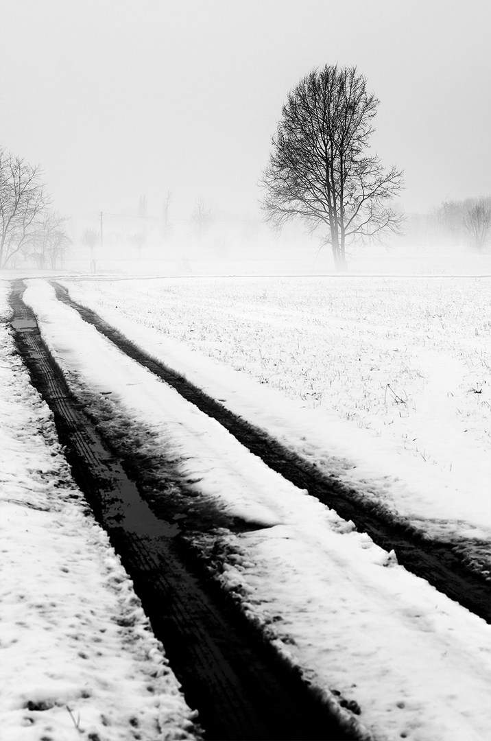 La campagna d'inverno