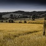 La campagna intorno a Firenze.................