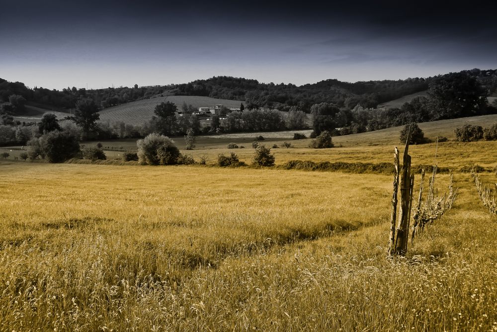 La campagna intorno a Firenze.................