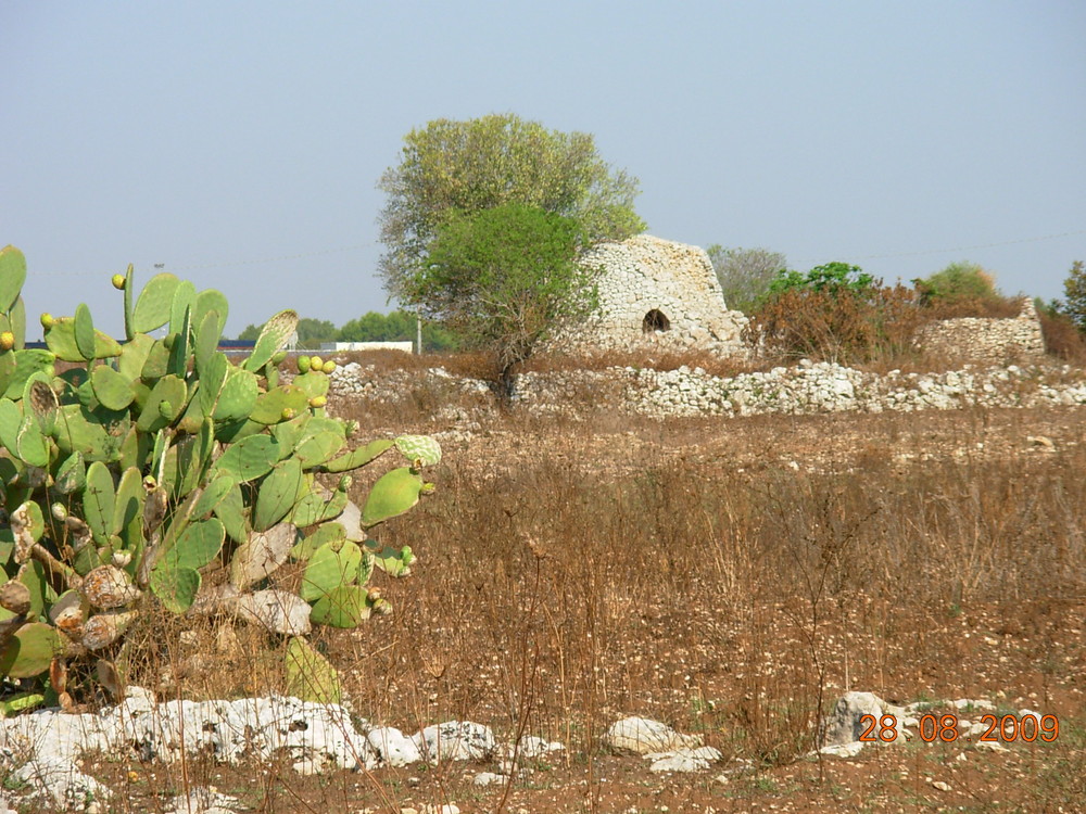 La campagna leccese