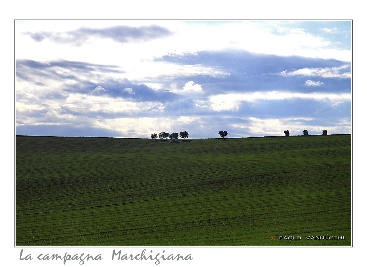 La campagna marchigiana....