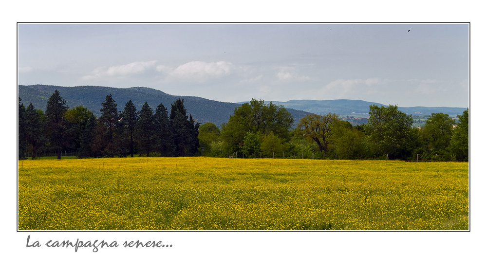 La campagna senese....