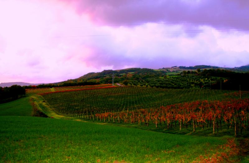 ...La campagna toscana in autunno...