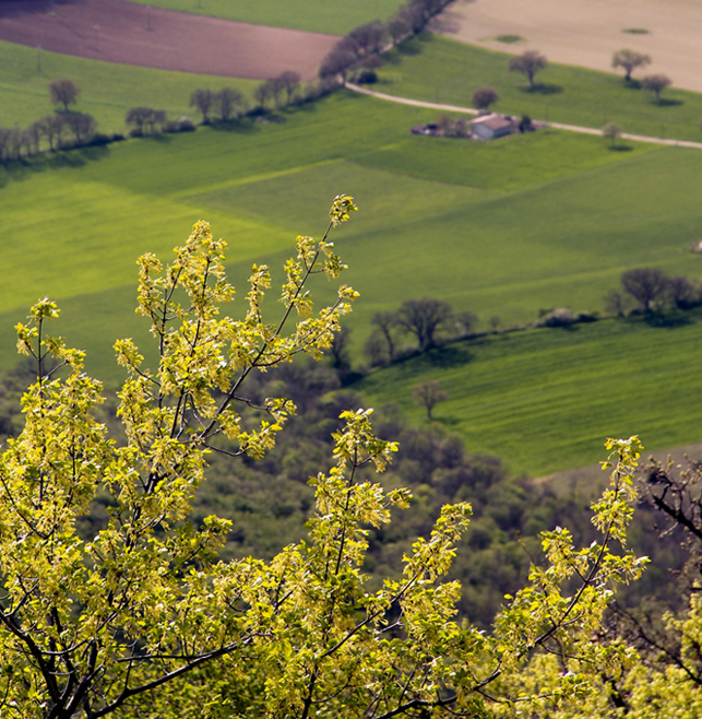 La campagna vicino a Norcia