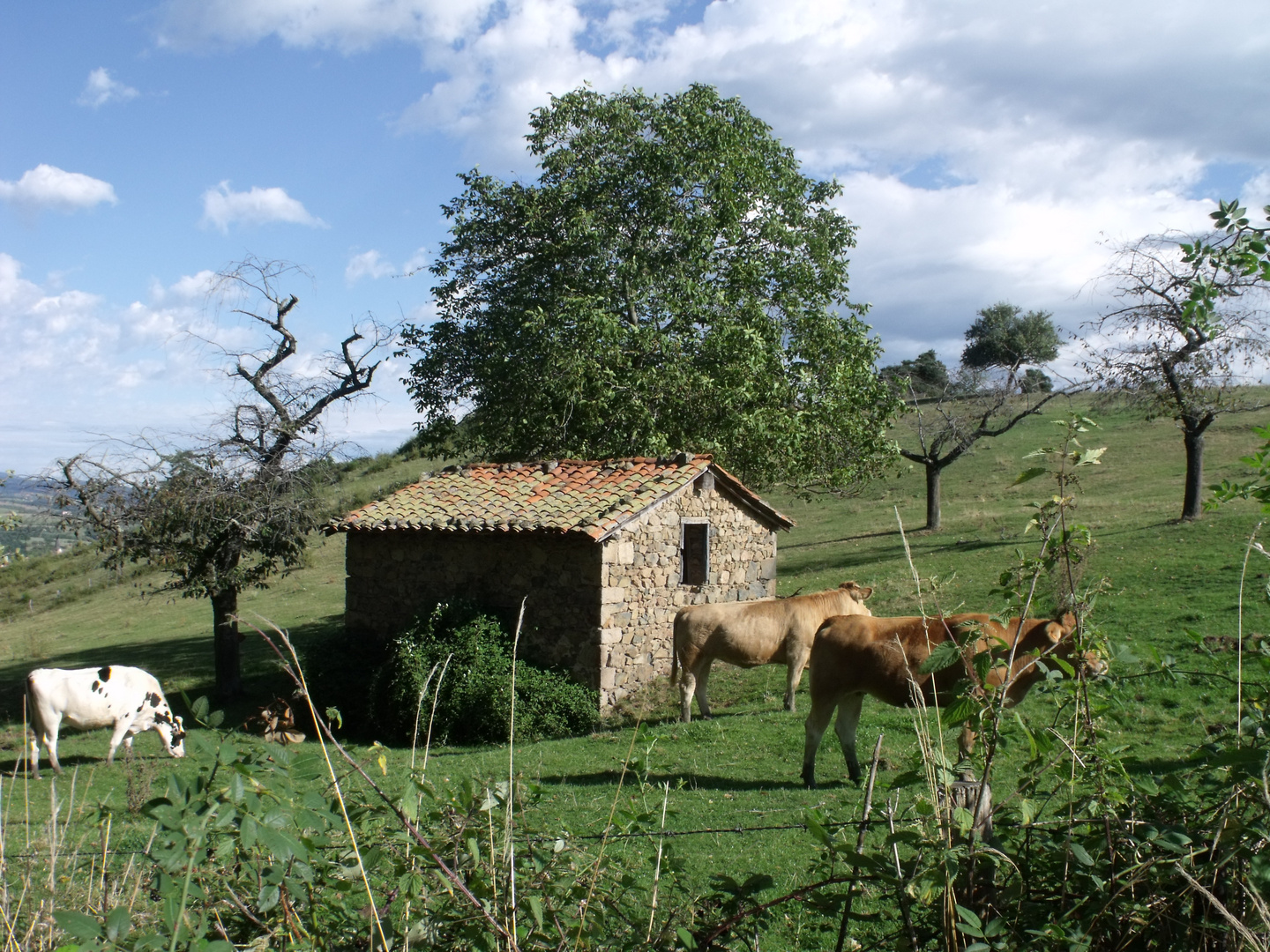 La campagne