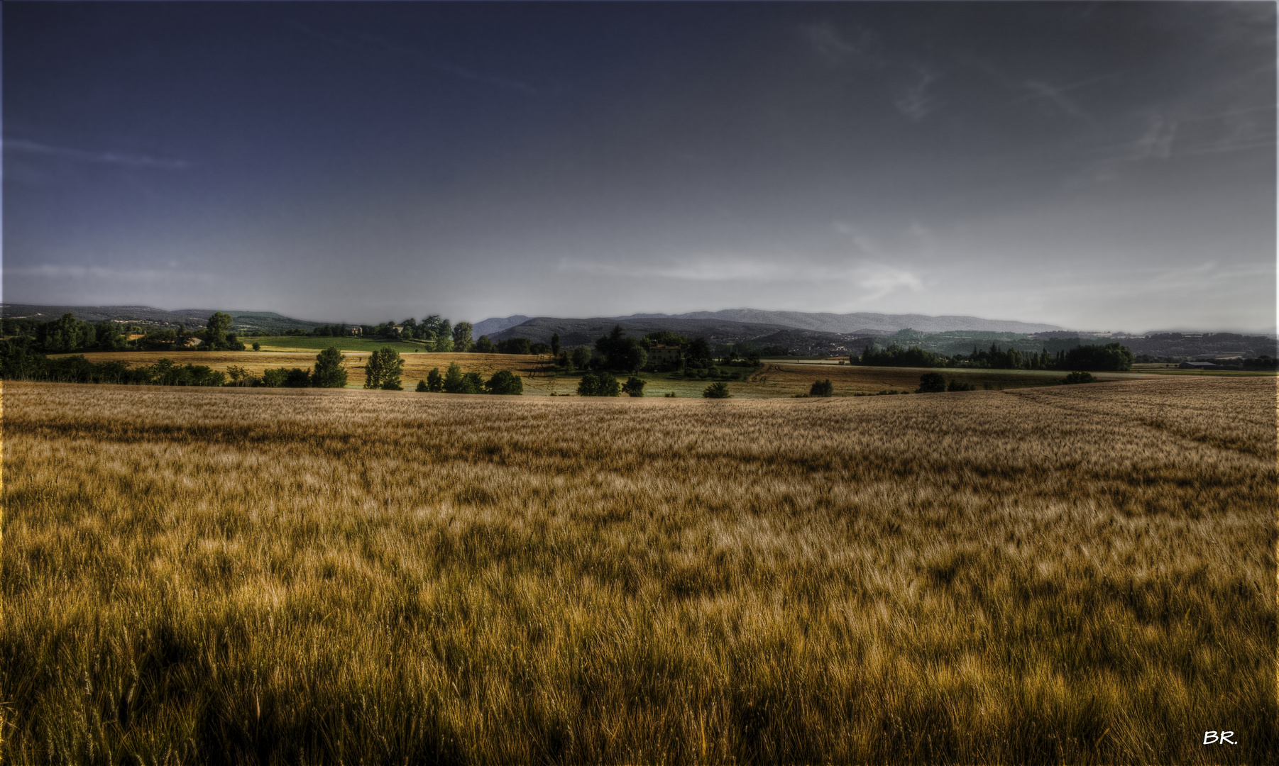 la campagne (3)