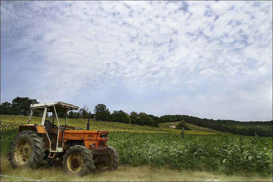 La campagne