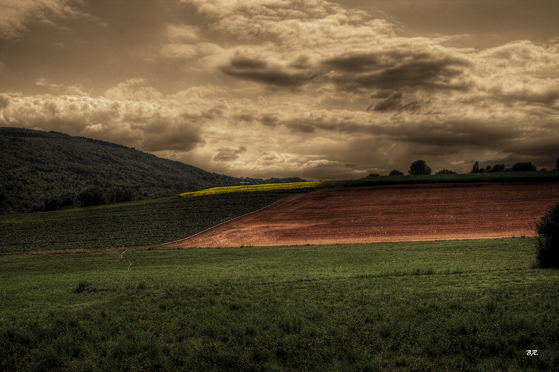 La campagne (6) !!!