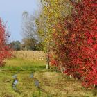 la campagne à l'automne