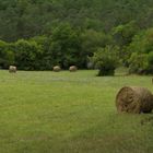 La campagne à Pezuls