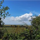 La campagne au milieu de la mer