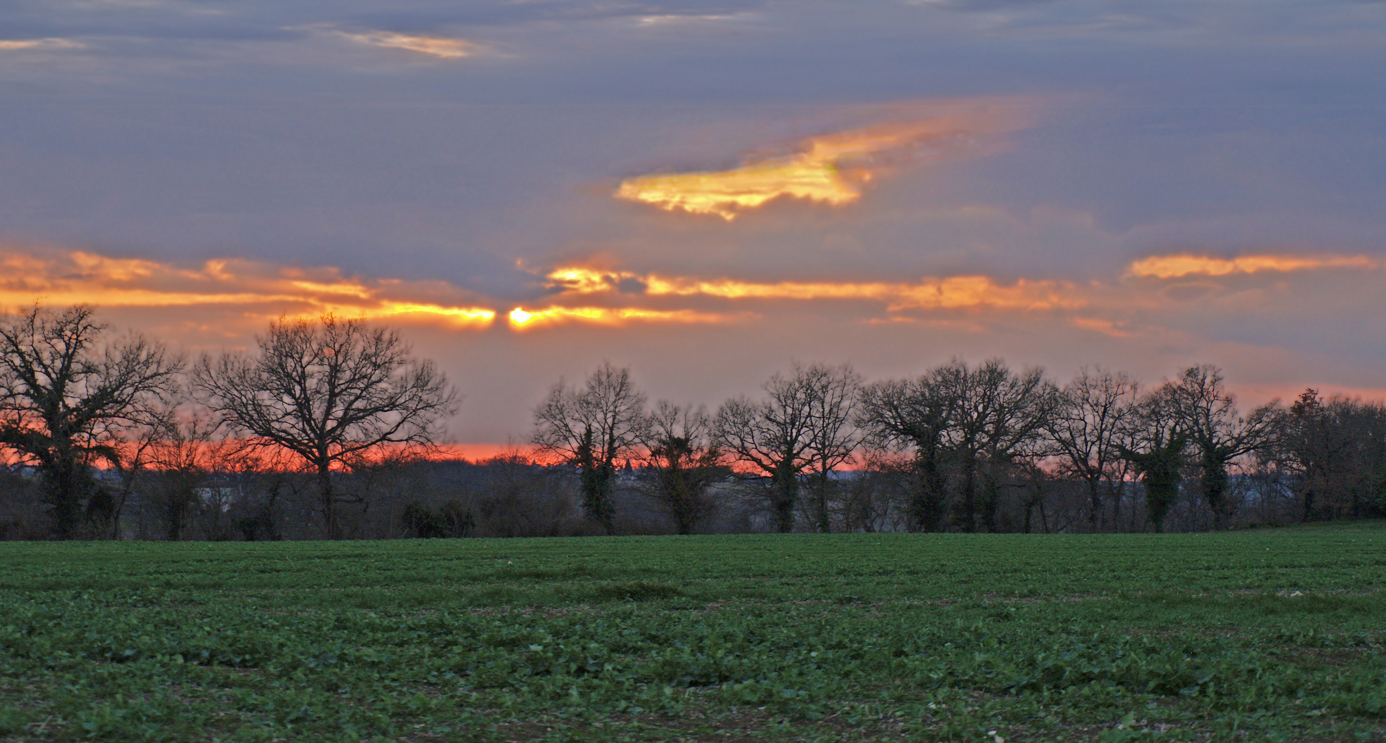 La campagne au mois de Mars en fin de journée