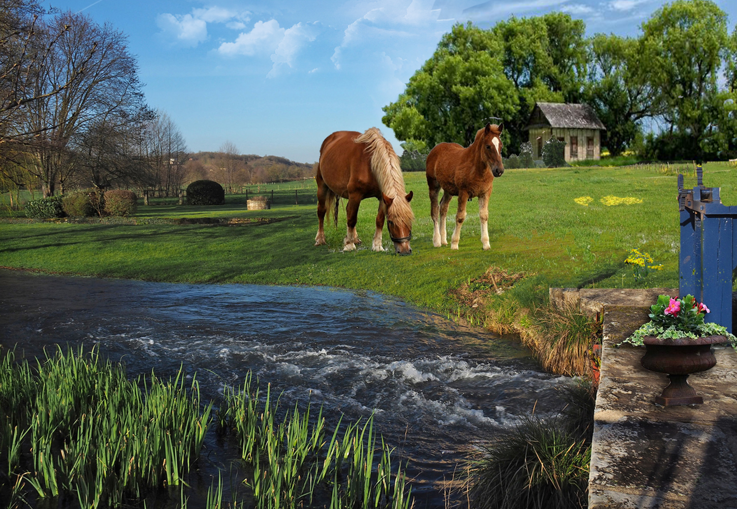 La campagne au printemps photo et image | printemps, campagne, maison