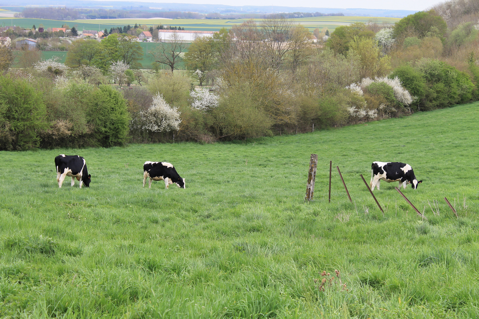 La campagne