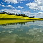 La campagne colorée !