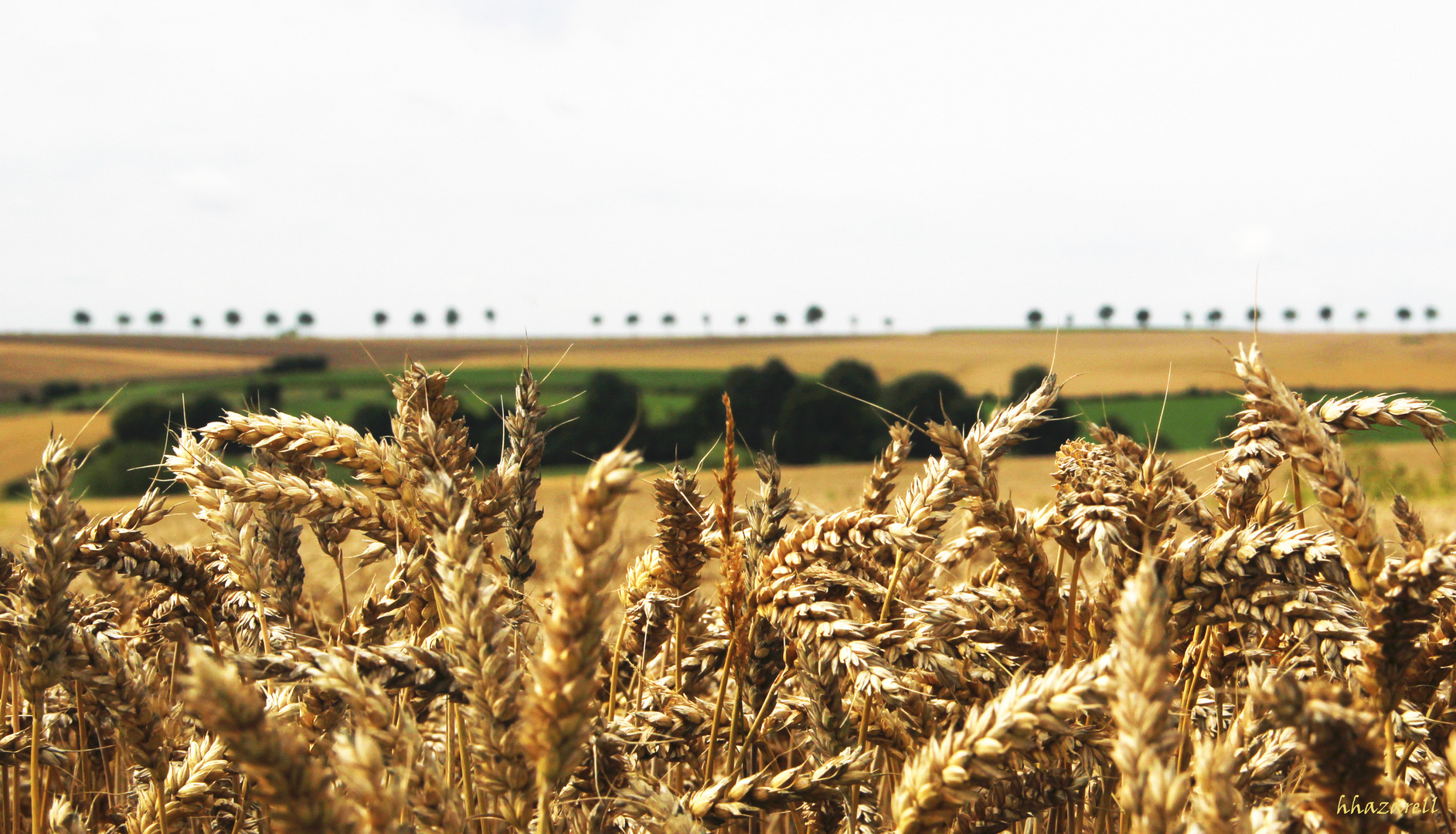 la campagne du Pas de Calais