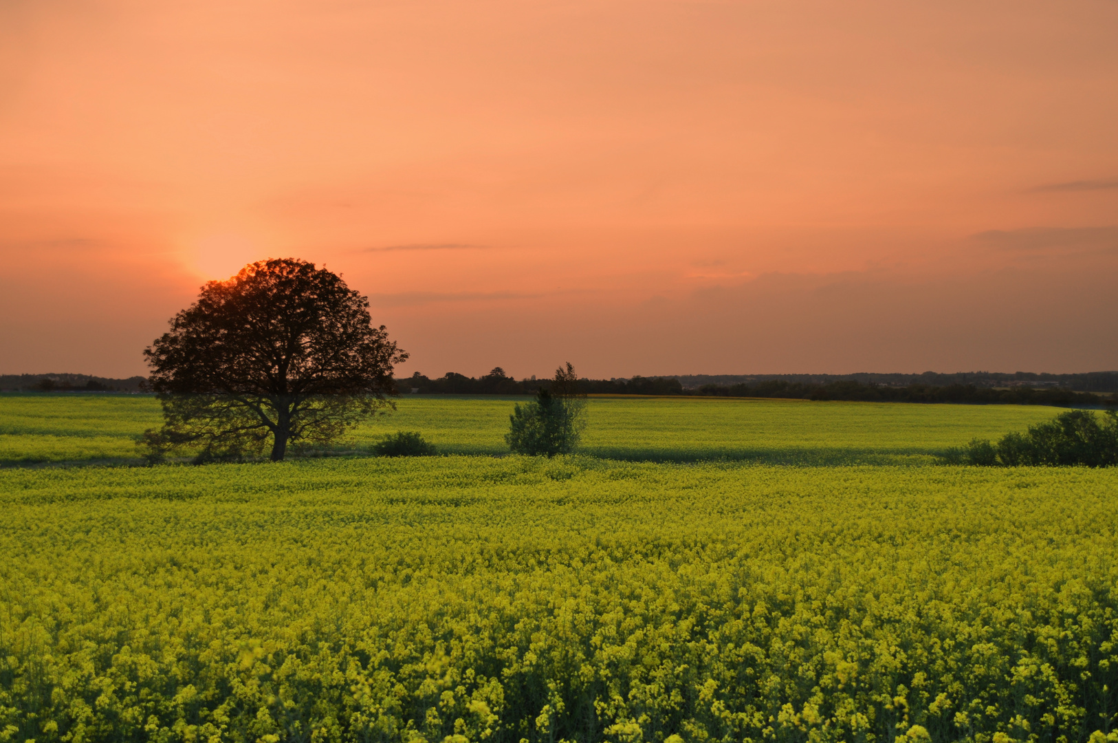 La campagne en couleur