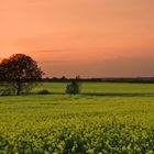 La campagne en couleur