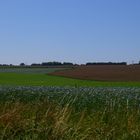 la campagne en été 